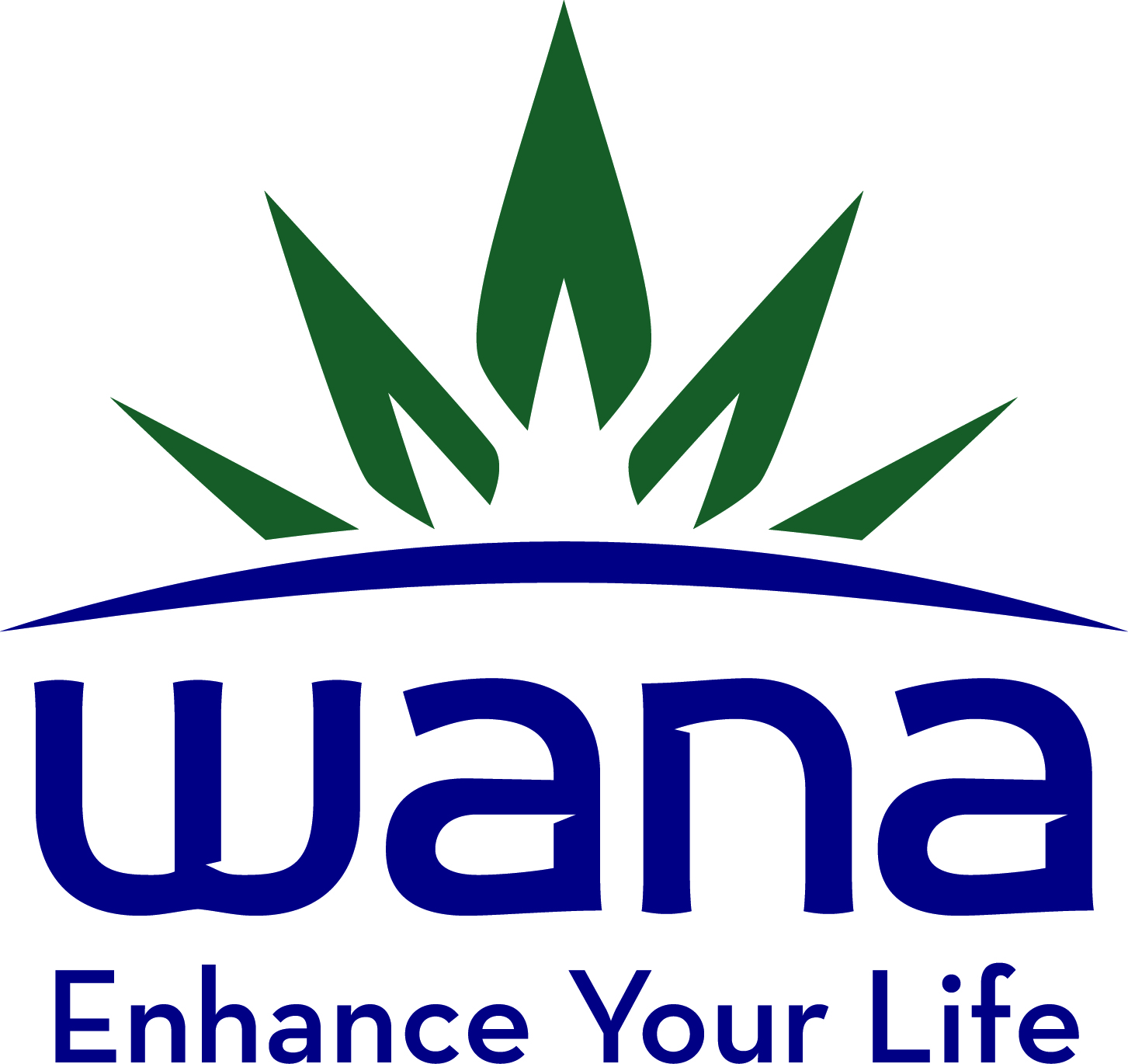 Wana Brands sponsor of the Benzinga Cannabis Conference